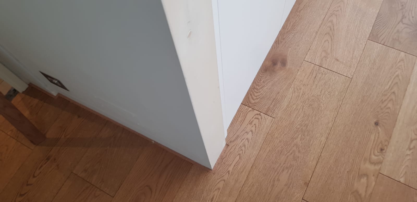 20181115_202342181_iOS