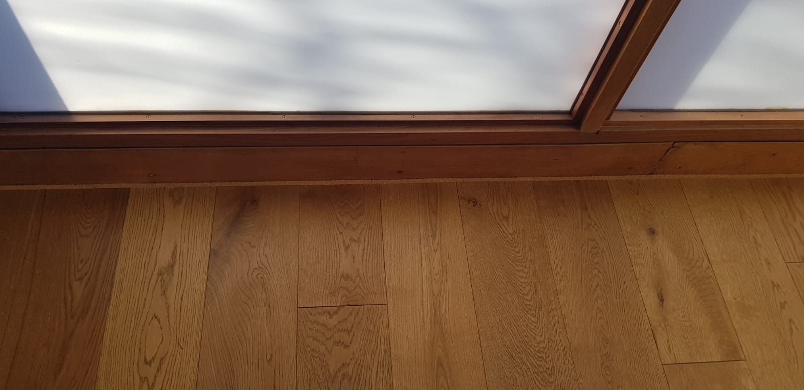 20181115_202342303_iOS