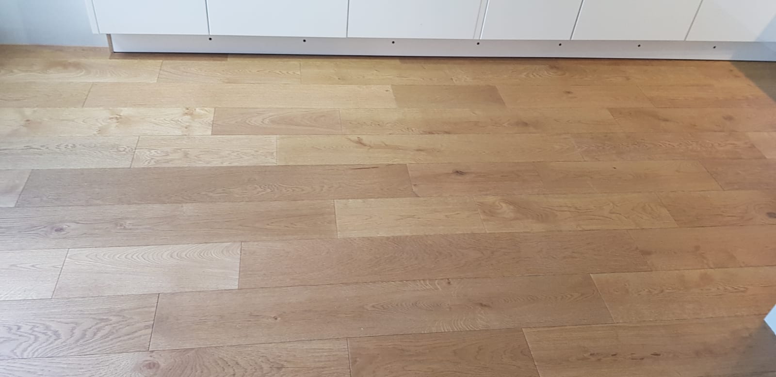 20181115_202343898_iOS