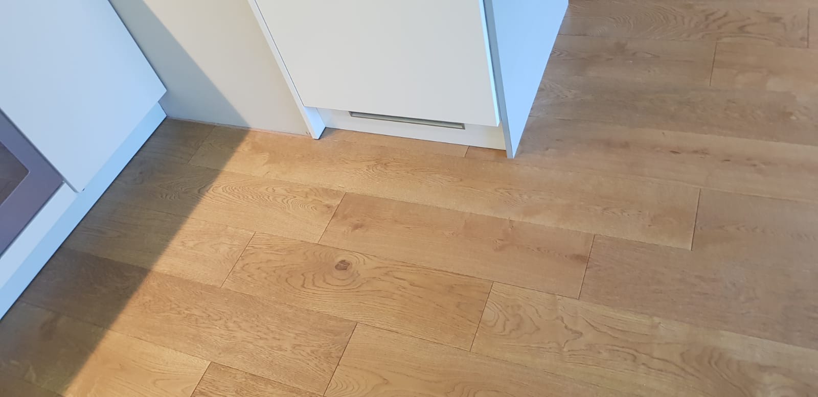 20181115_202345580_iOS