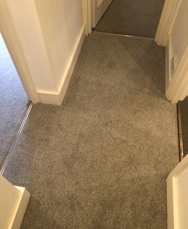 portfolio carpets westex-carpets-ultima-twist-major-bayswater (5)