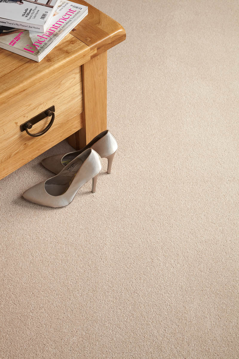 Thomas Witter Innovation Flooring - Carpet