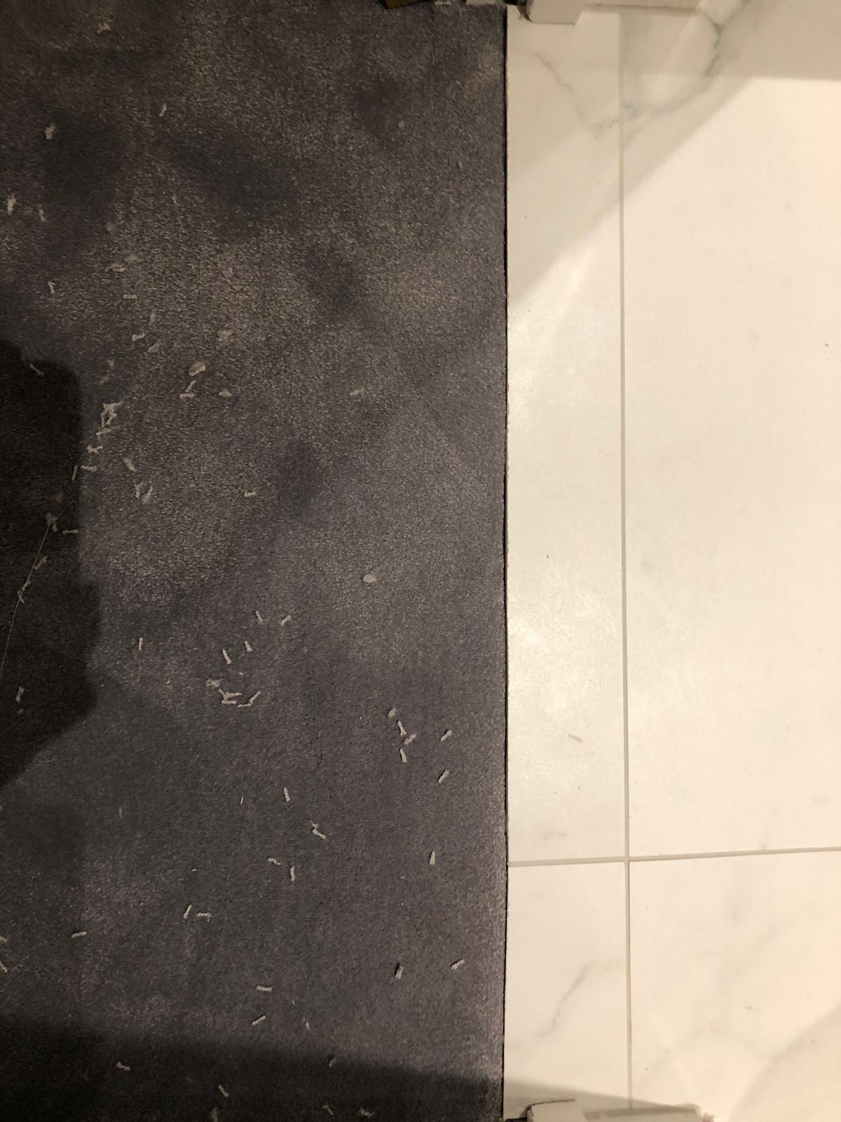 portfolio carpet-installation-whitechapel (5)