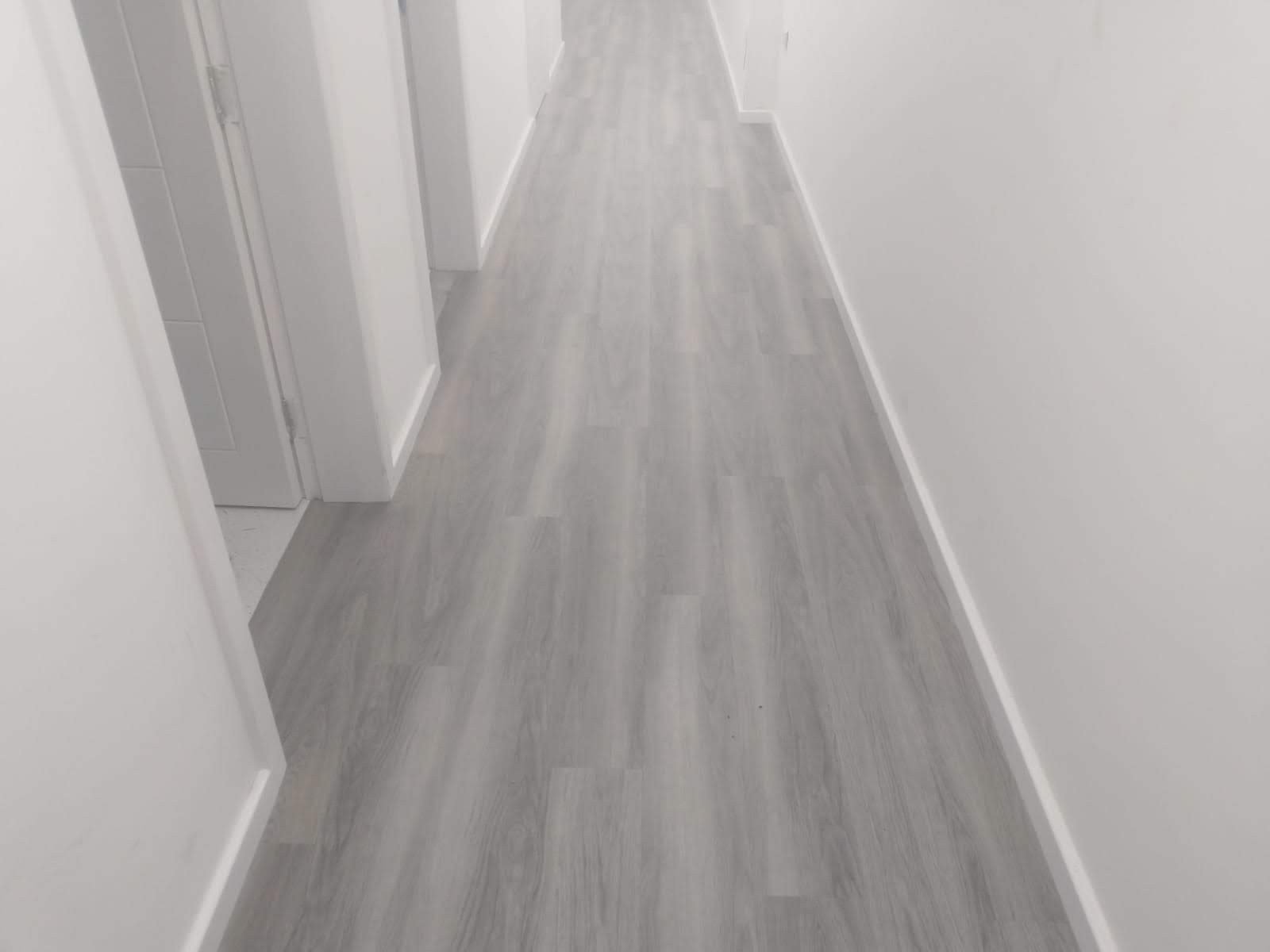 TFG SF1516 (Park-Vue Dental, 204 High Road, N22 8HH)