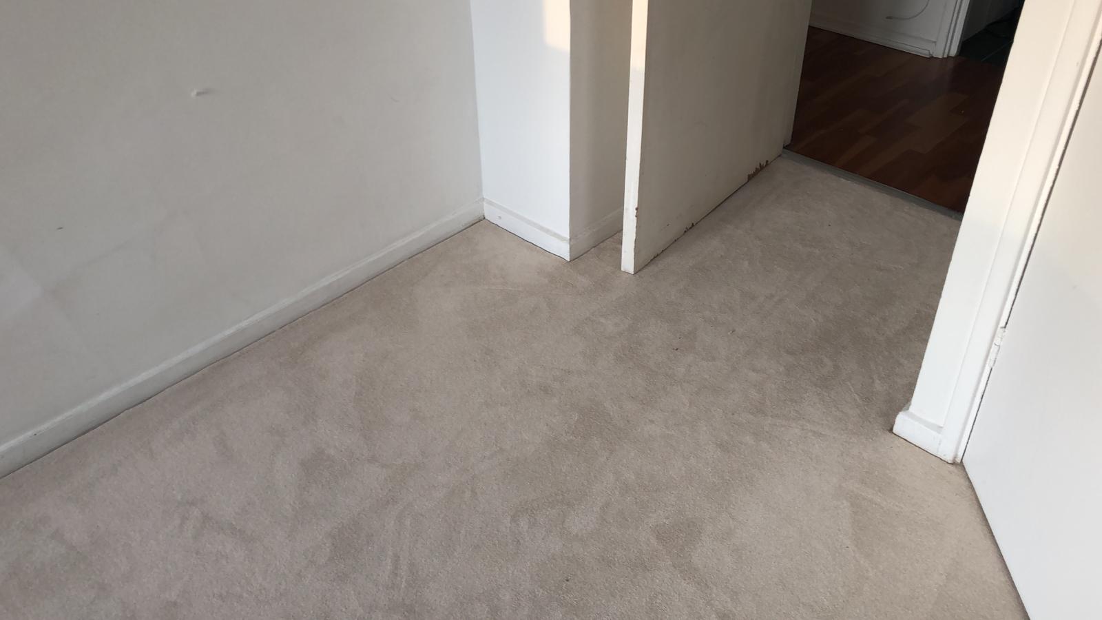 Clarendon Carpets Fitted in Stratford - Guide - Carpet - Carpet