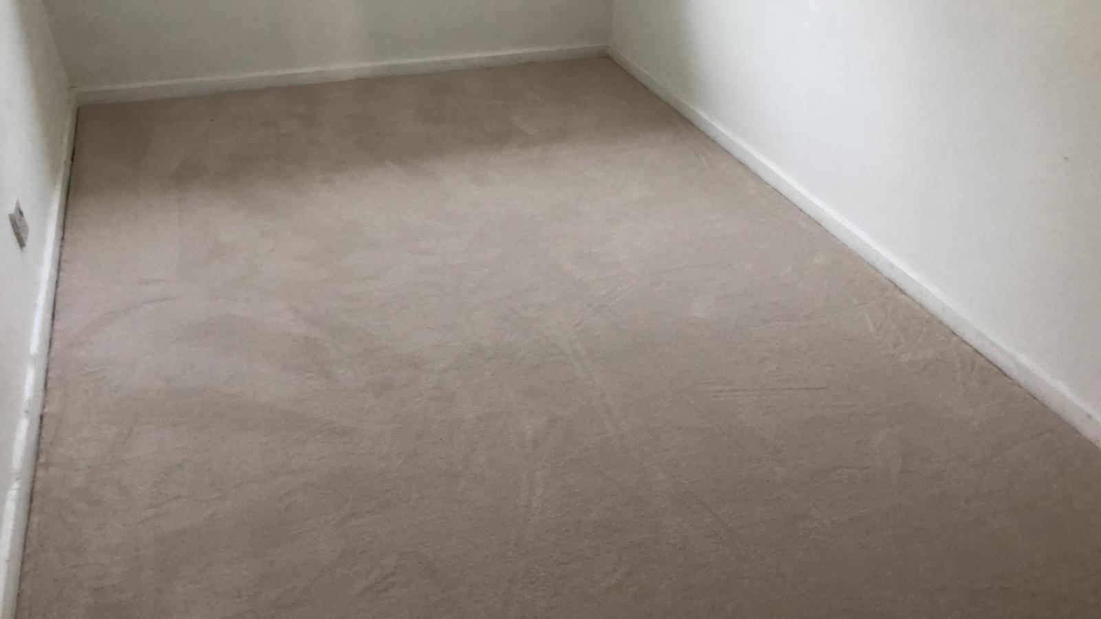 portfolio-clarendon-carpets-velvet-eggshell-stratford (2)