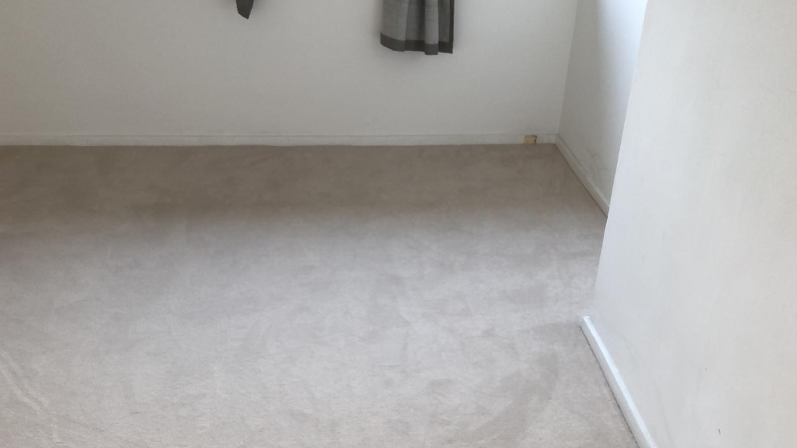 portfolio-clarendon-carpets-velvet-eggshell-stratford (5)