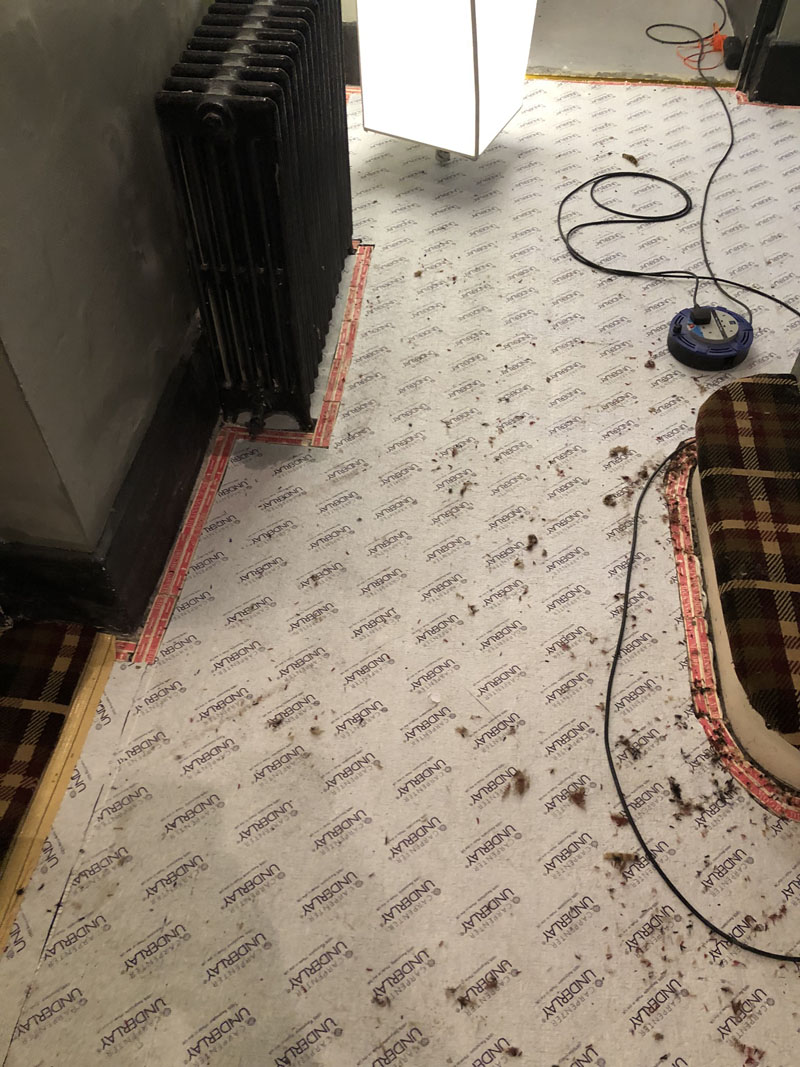 portfolio-patterned-carpet-installation-canada-water (5)