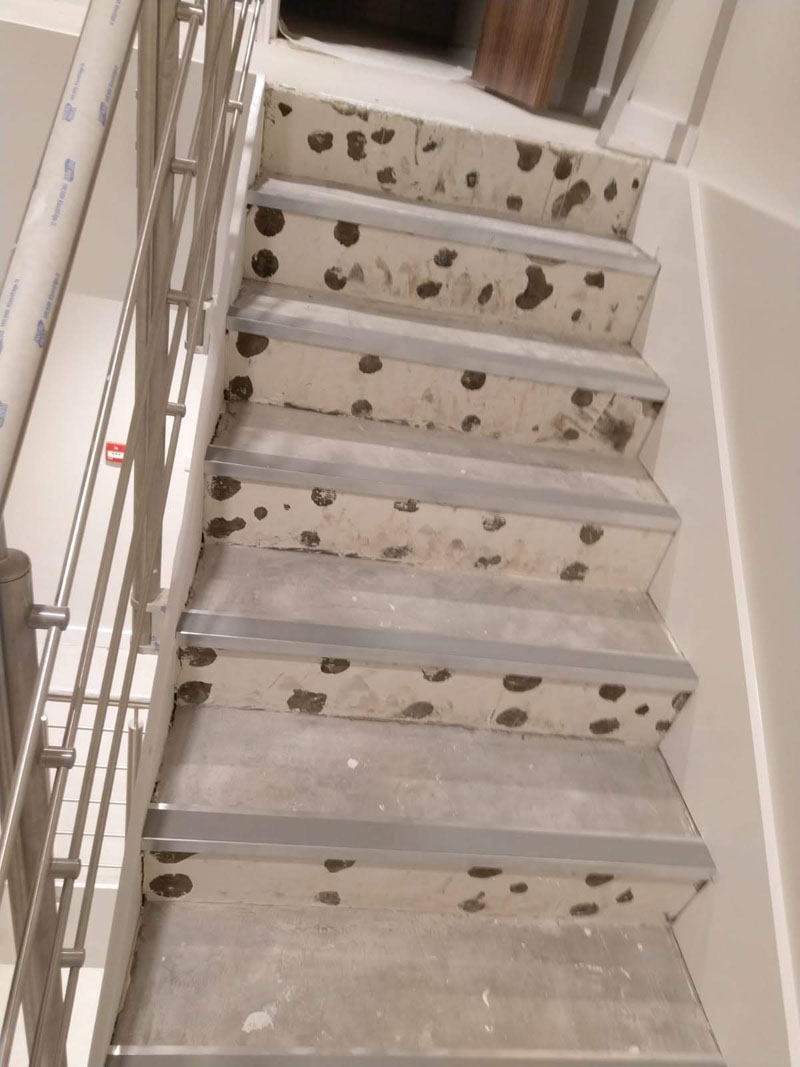 TFG SF1529 (Car Showroom, Great West Road, TW8 9BW)