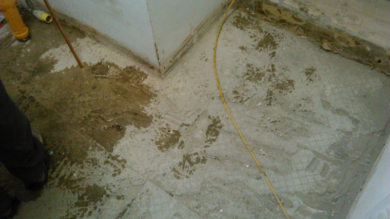 Site Visit - Rising Sun Capital, TW6 9BW