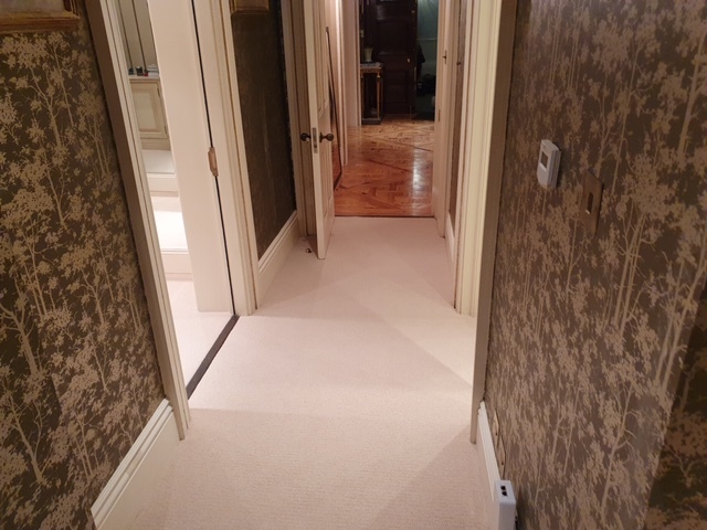 Westex Natural Loop Briar Soya Wool Loop Carpet Installed in Acton 4