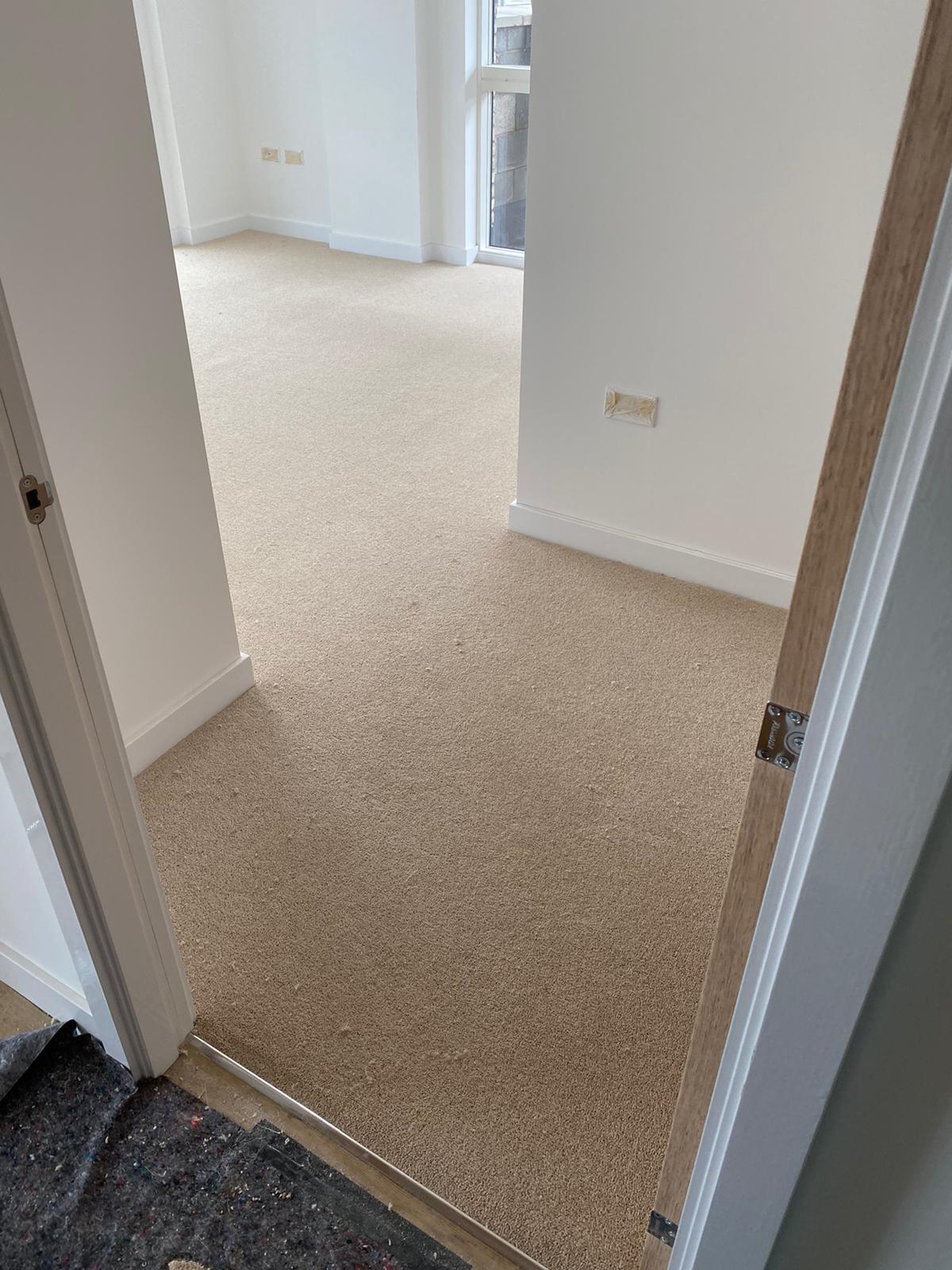 Clarendon Carpets Grosvenor Flawless Carpet 2