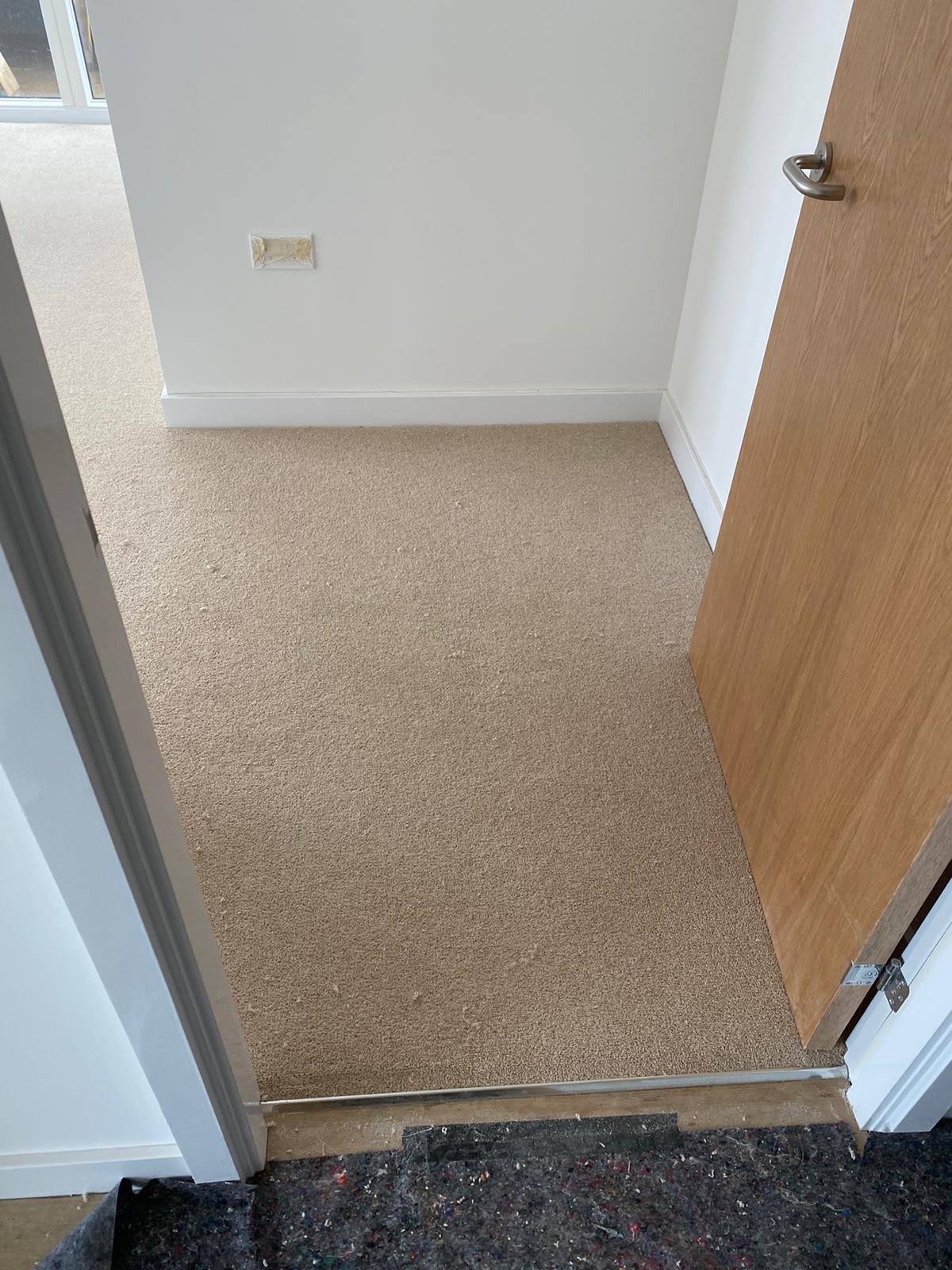 Clarendon Carpets Grosvenor Flawless Carpet 4