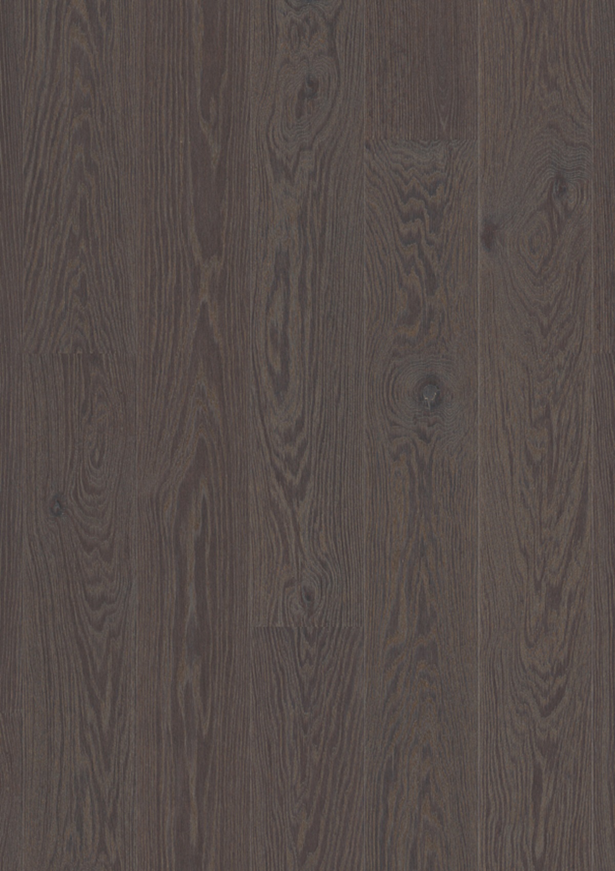 Oak Foggy Brown_plank Castle_Live Pure