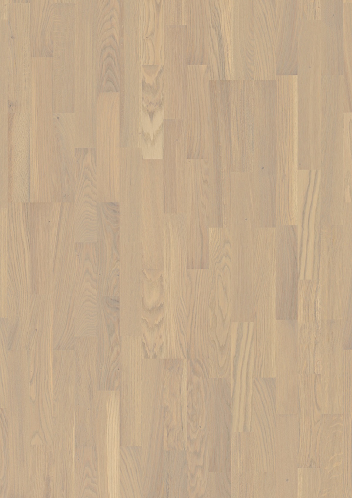 Boen Oak Warm Cotton Wood Flooring Residential Flooring - News - Wood Flooring Flooring