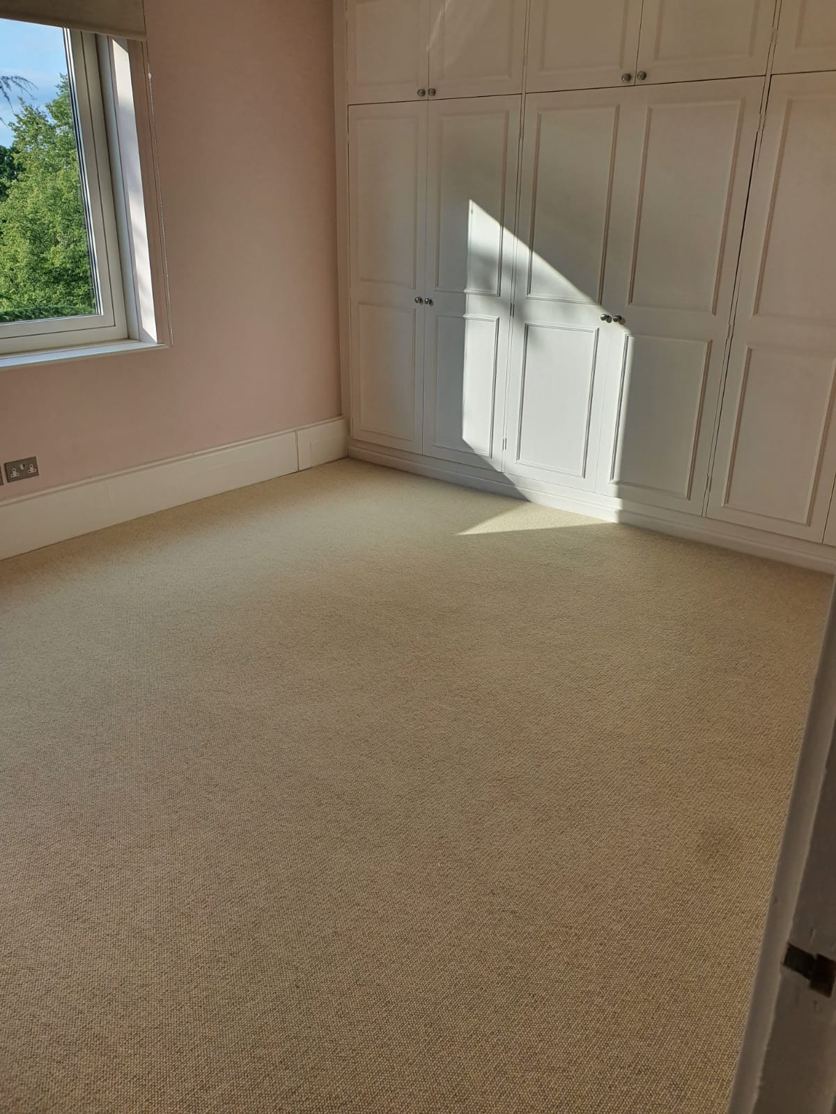 Beige Carpet in Barnes 1