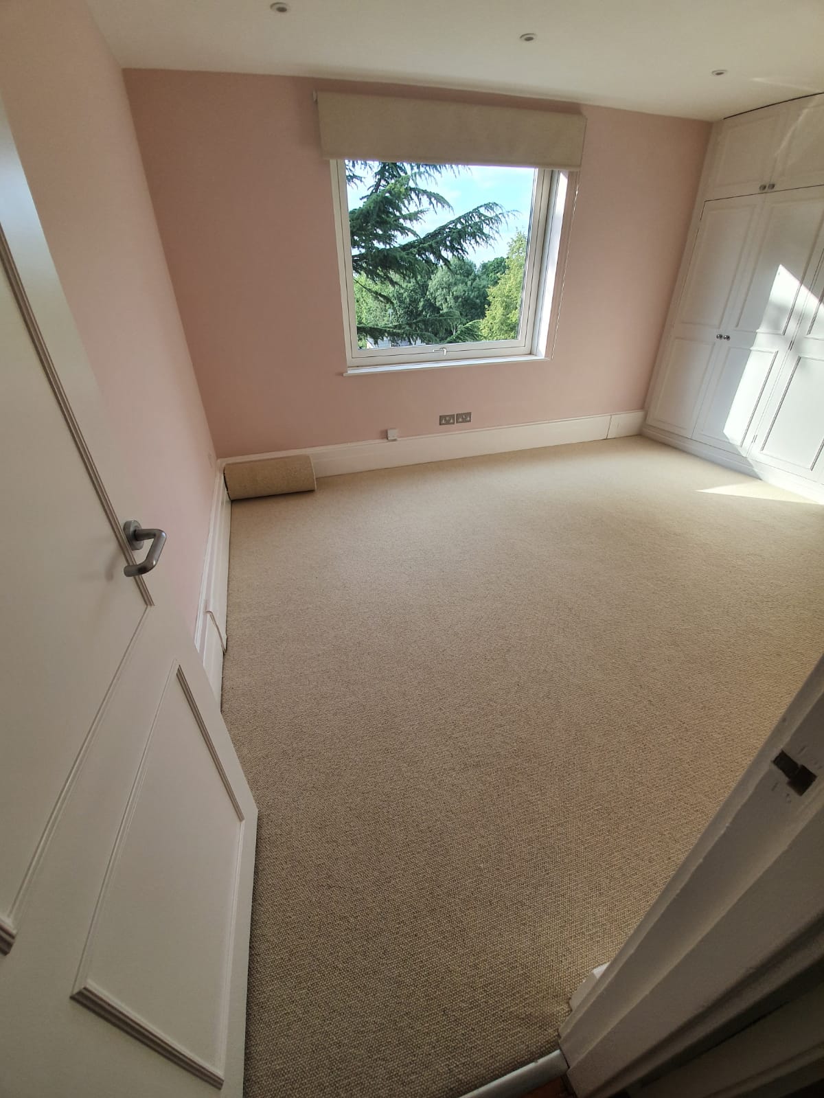 Beige Carpet in Barnes 2