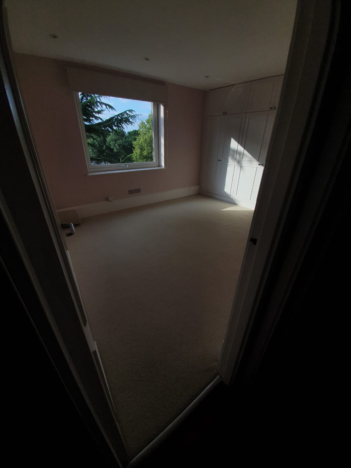 Beige Carpet in Barnes 3