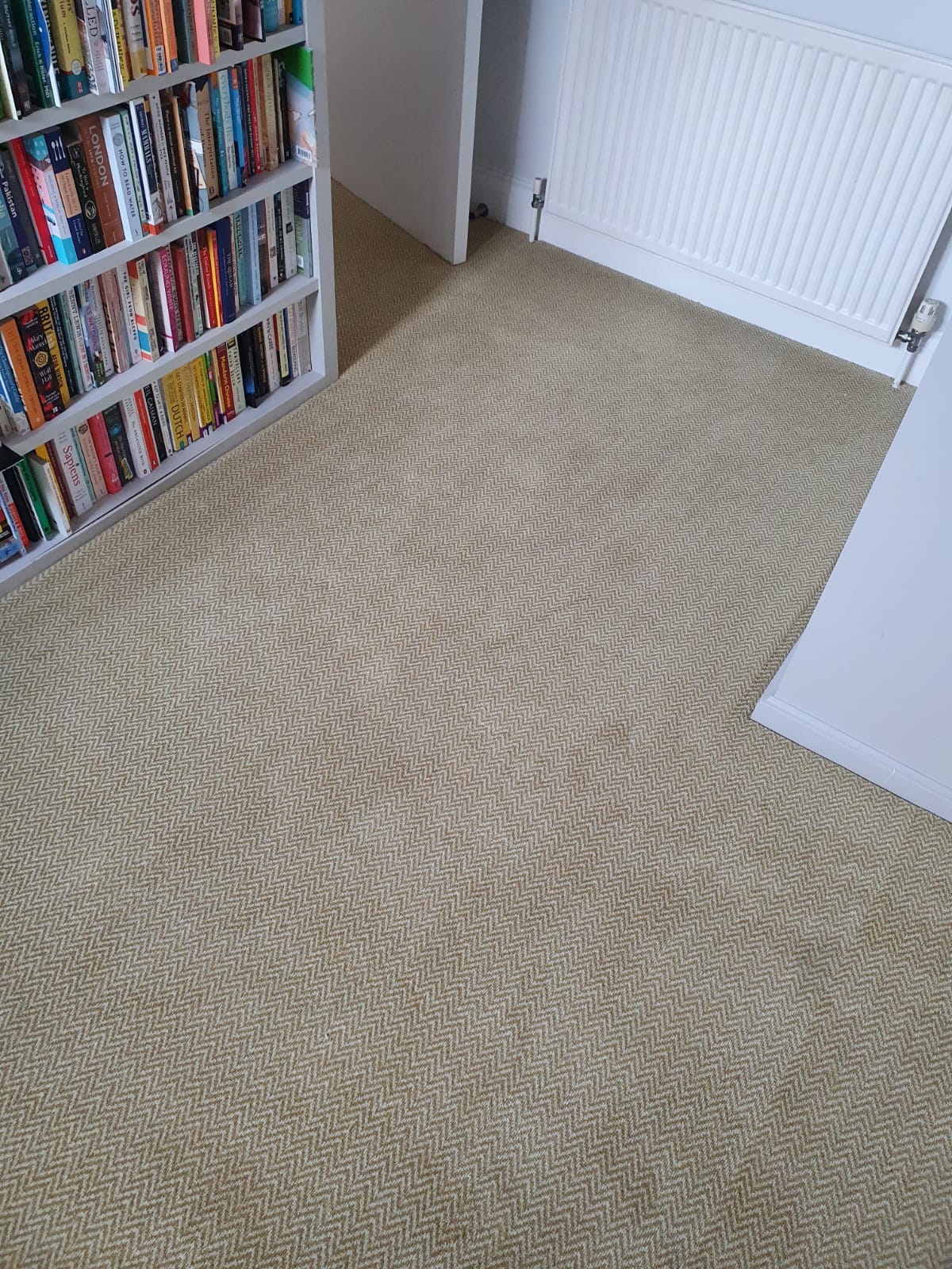 Adam Carpets Flare FL09 in Mayfair 2