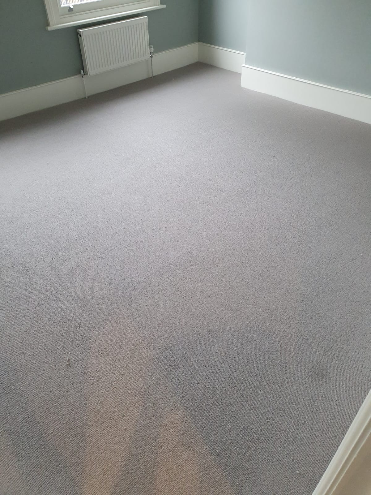 Elements London Capri Fossil Carpet in Ealing 4