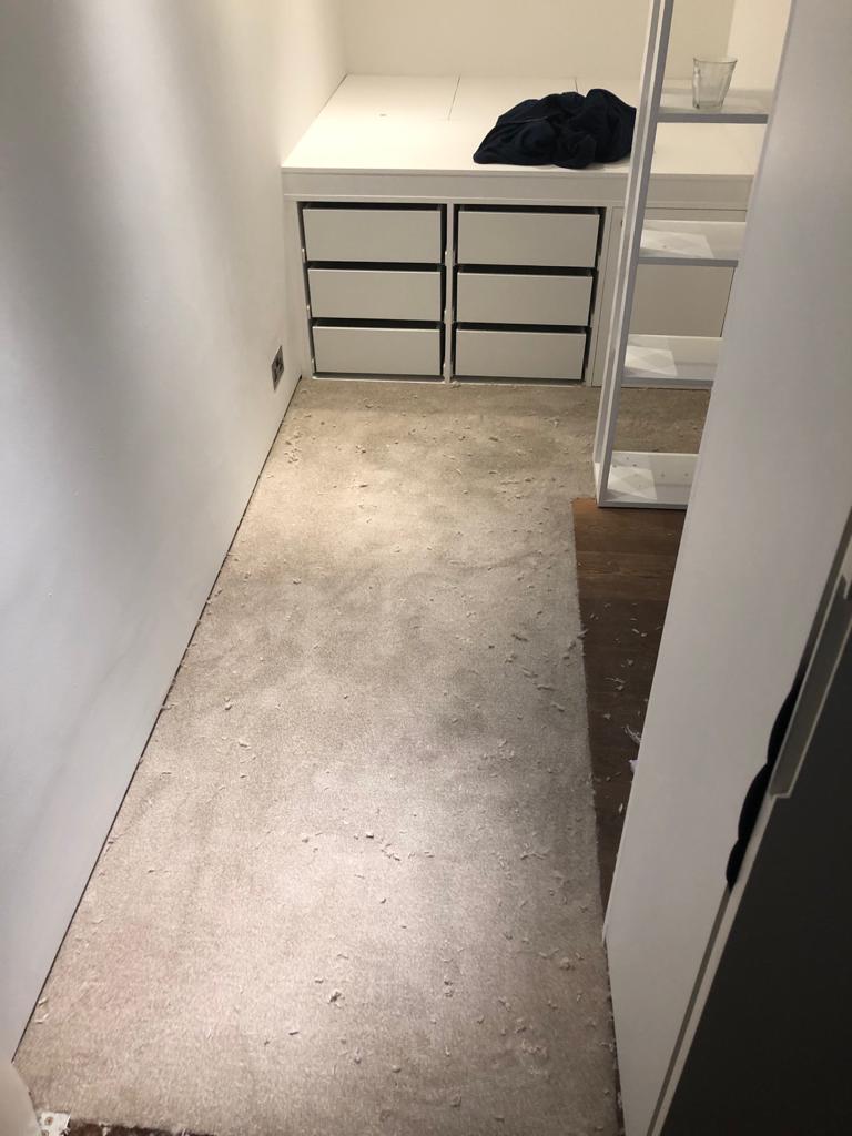 Florco Homely Mellow in Kingsbridge 1