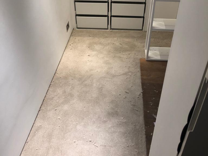 Florco Homely Mellow in Knightsbridge - Guide - Carpet