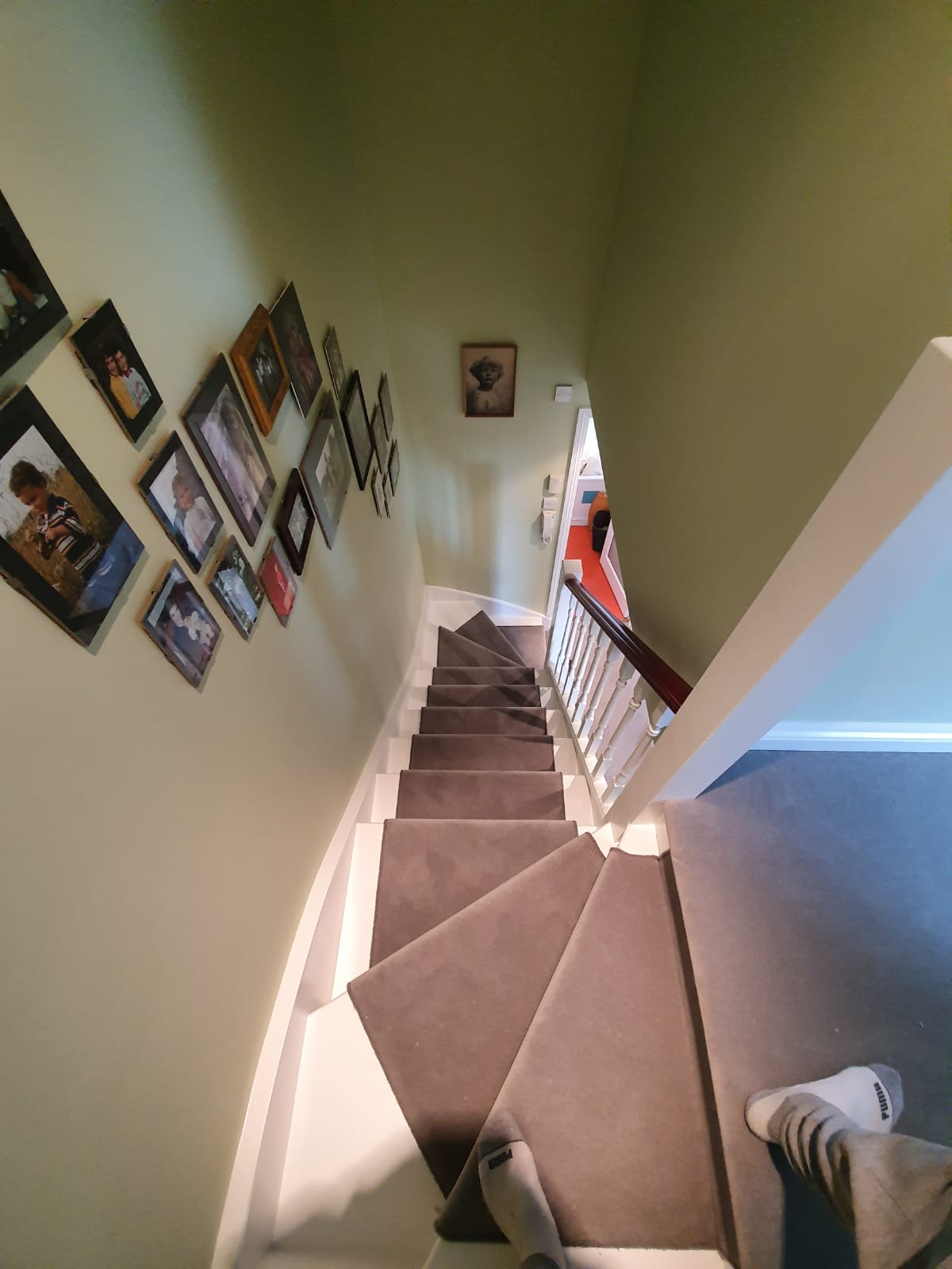 Westex Carpets Exquisite Velvet Hazel Carpet 2