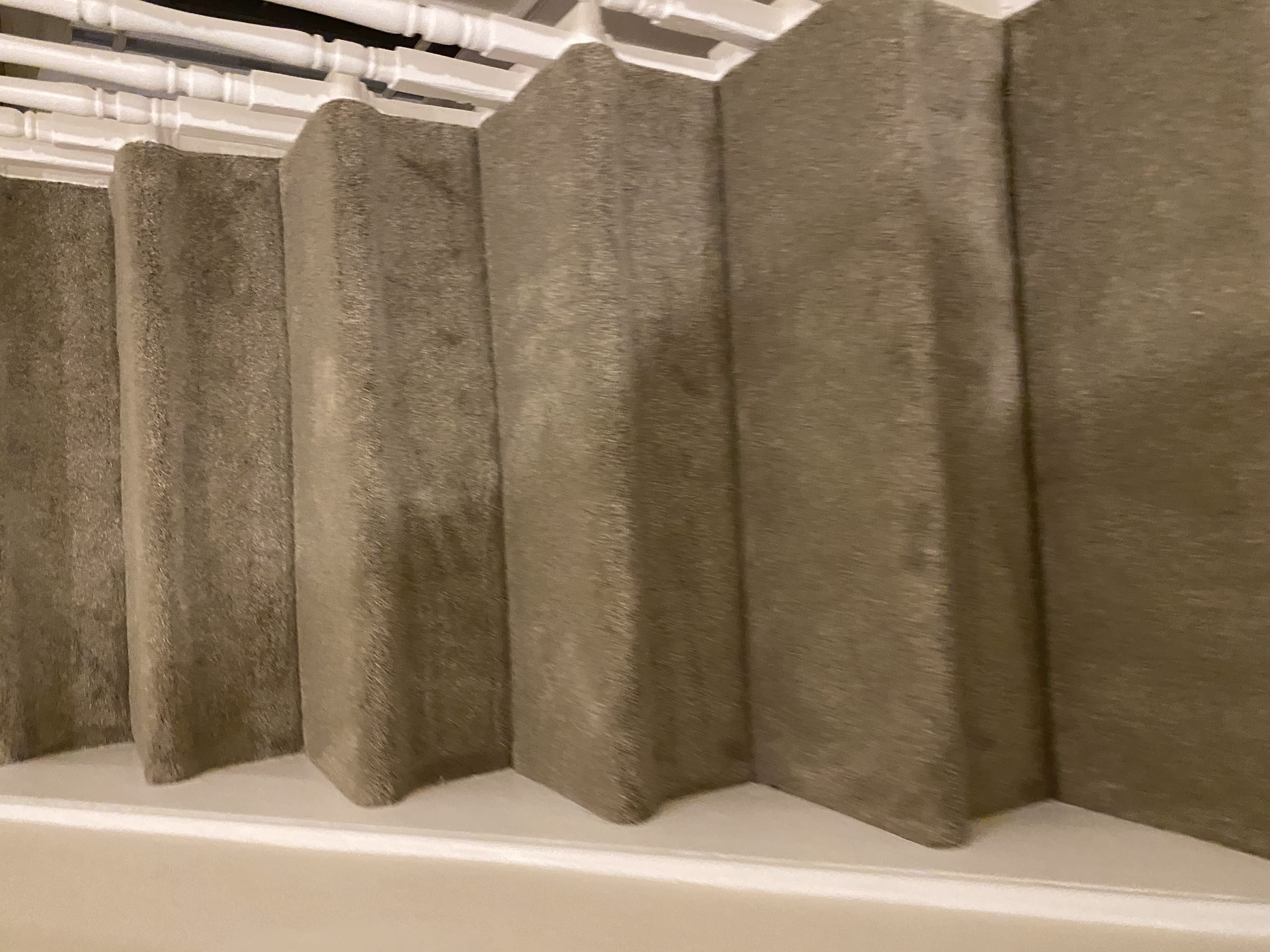 Cavalier Carpets Definition Meissen Carpet 3