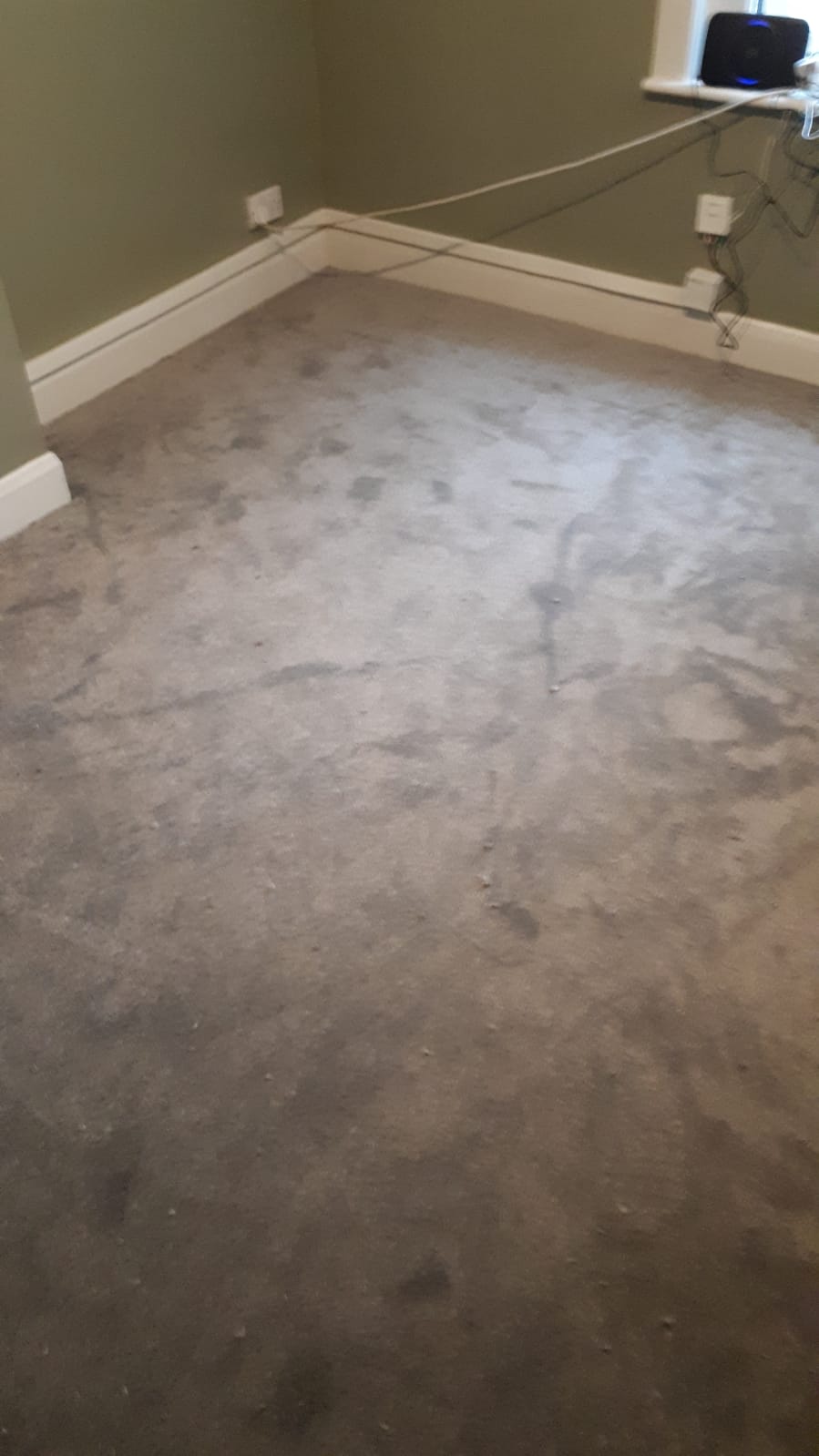 Cavalier Carpets Stainless Milton in Hammersmith 2