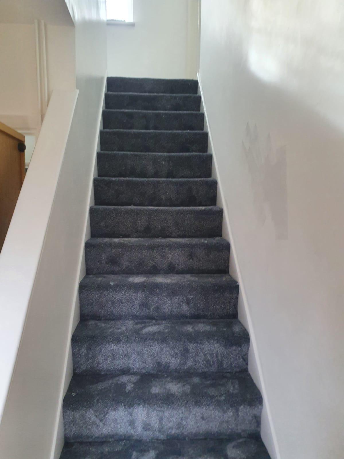 Condor Carpets Oxford 277 Carpet 2