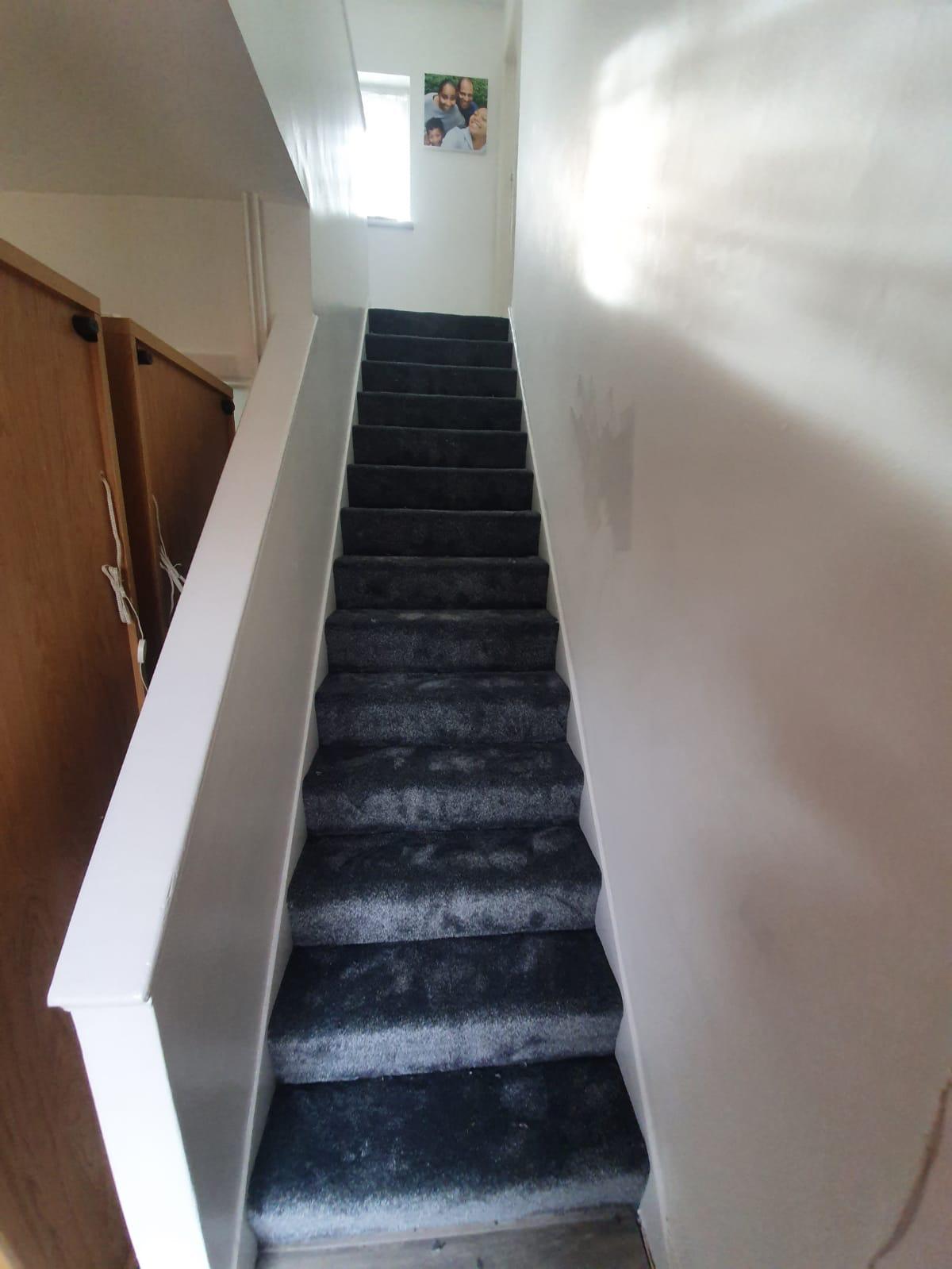 Condor Carpets Oxford 277 Carpet 3