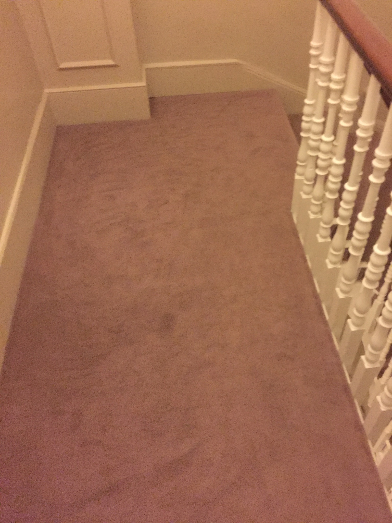 Lano Carpets Zen 54 Carpet in Canary Wharf 3