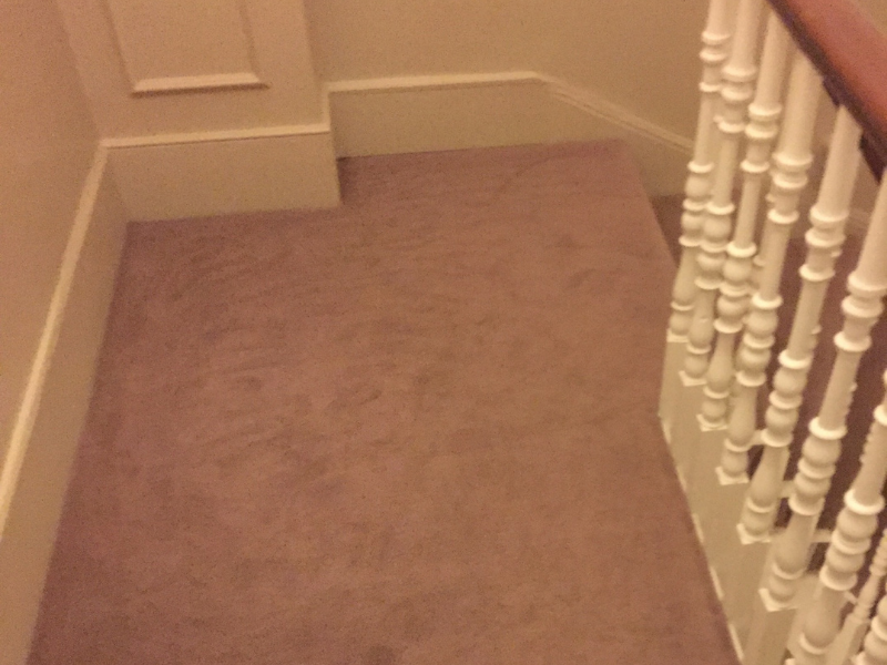 Lano Carpets Zen 54 Carpet in Canary Wharf, Home