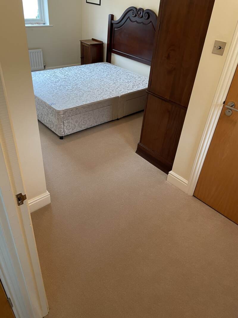 Westex Carpets Ultima Twist Major Celeriac Carpet Installation 2