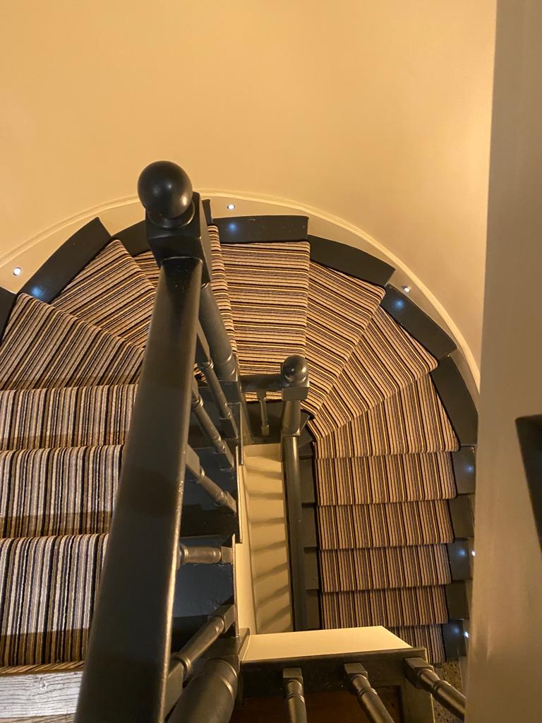 Crucial Trading Mississippi Premium MP110 Carpet in Westminster, Home