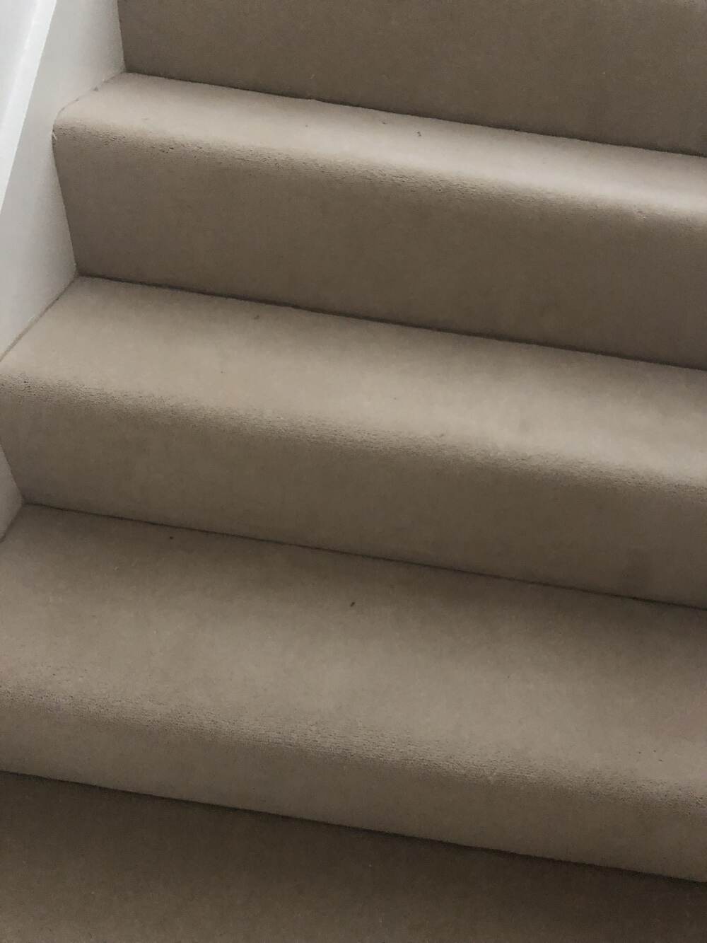 Cavalier Carpets Cartouche Velvet Canvas Installation In Battersea-2