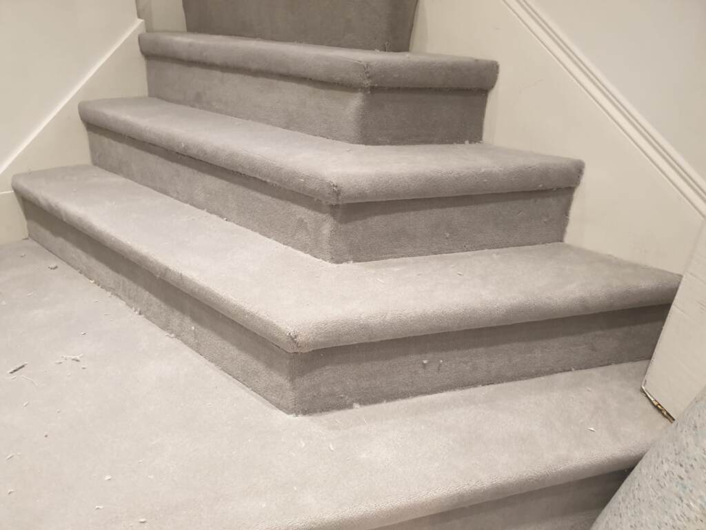 Westex Exquisite Velvet Hazel Installation in Paddington, Carpet, Home