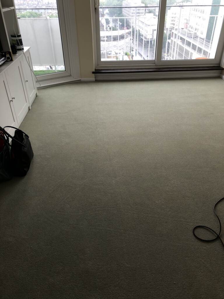 Westex Natural Loop Briar Stucco Installation in Notting Hill, Carpet, Home