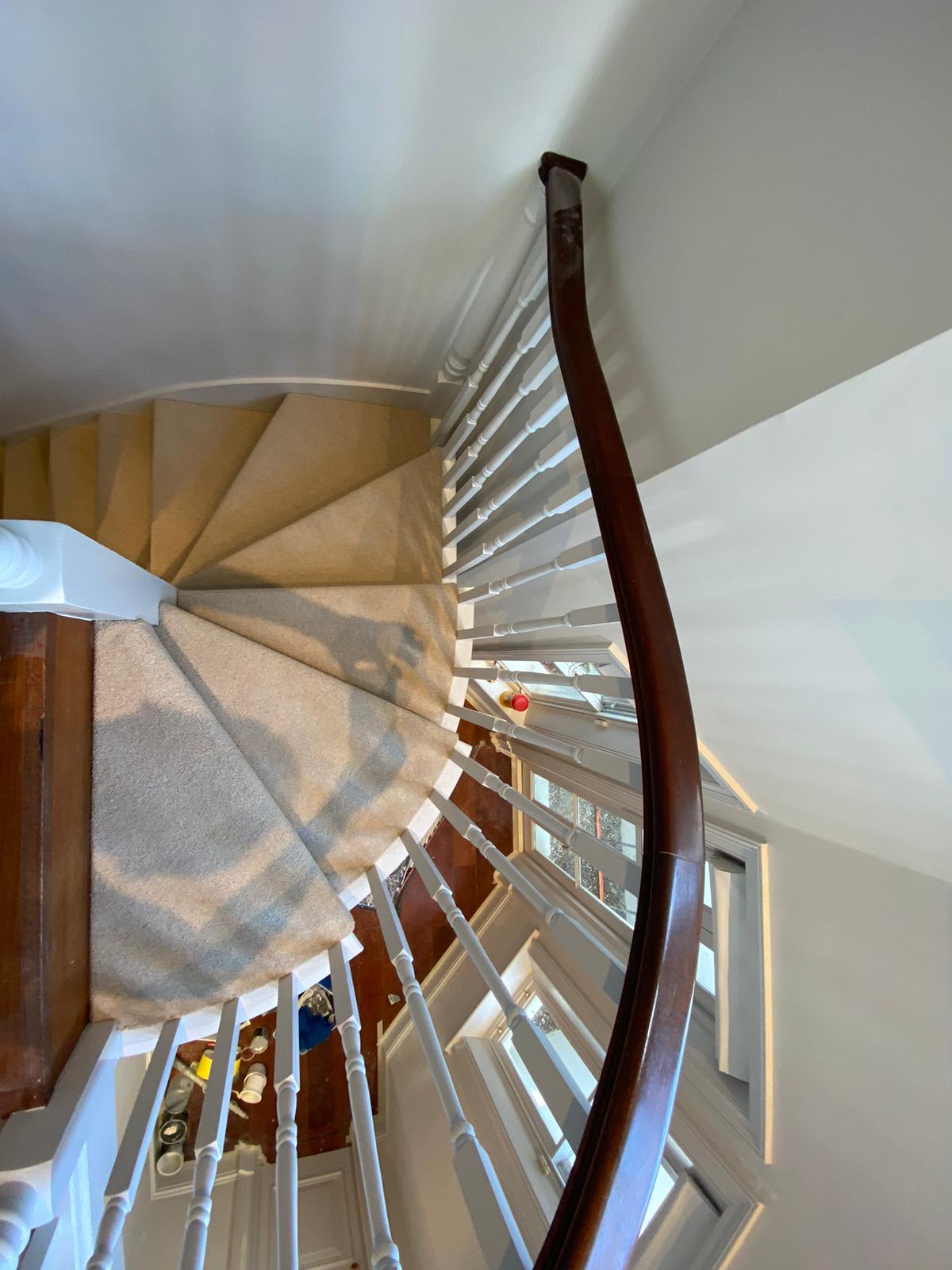 Clarendon Carpets Mayfair Tusk Installation in Acton - Carpet - Residential