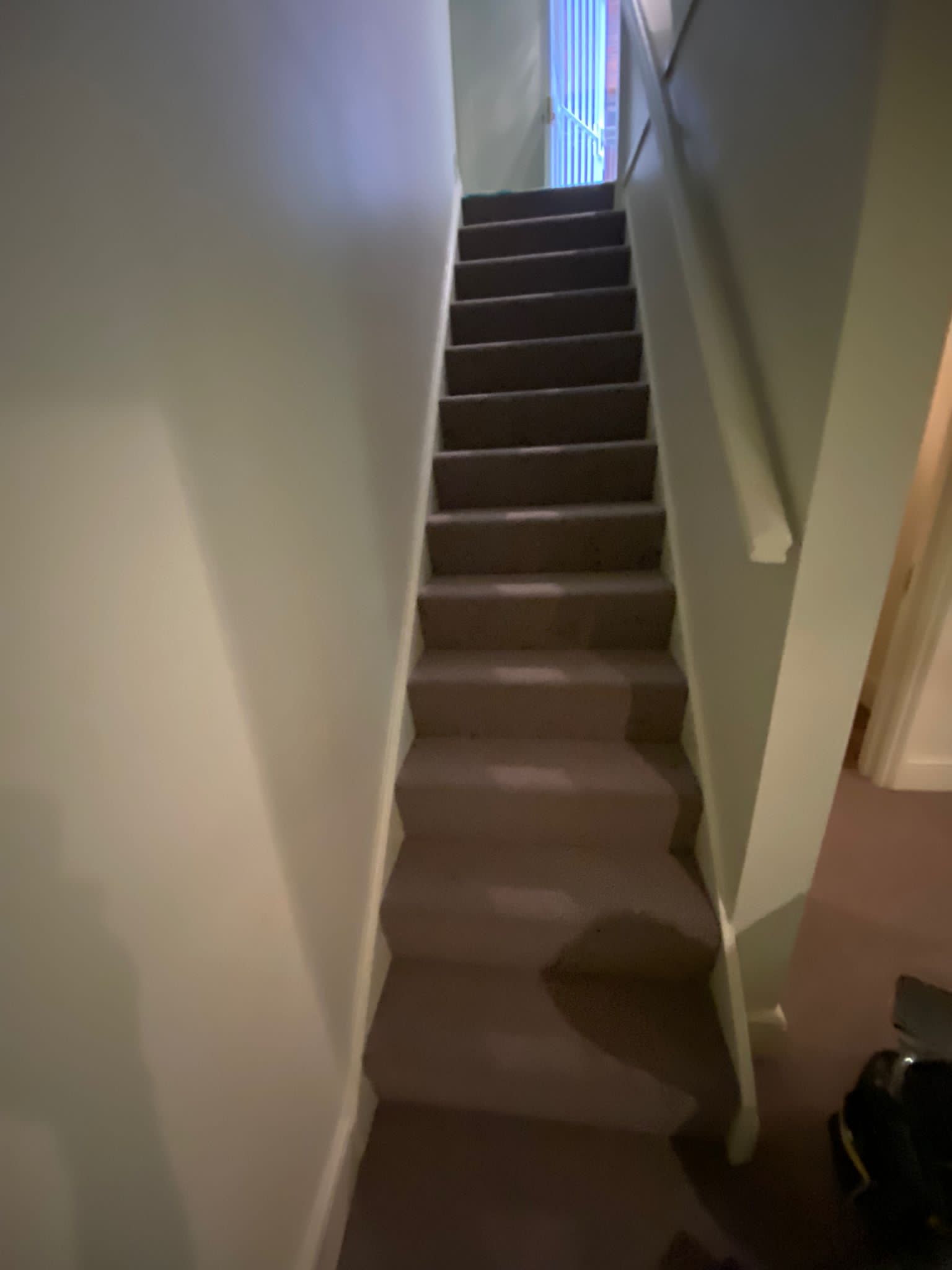 Westex Flooring Natural Loop Briar Rum & Raisin Installation In Mayfair-0