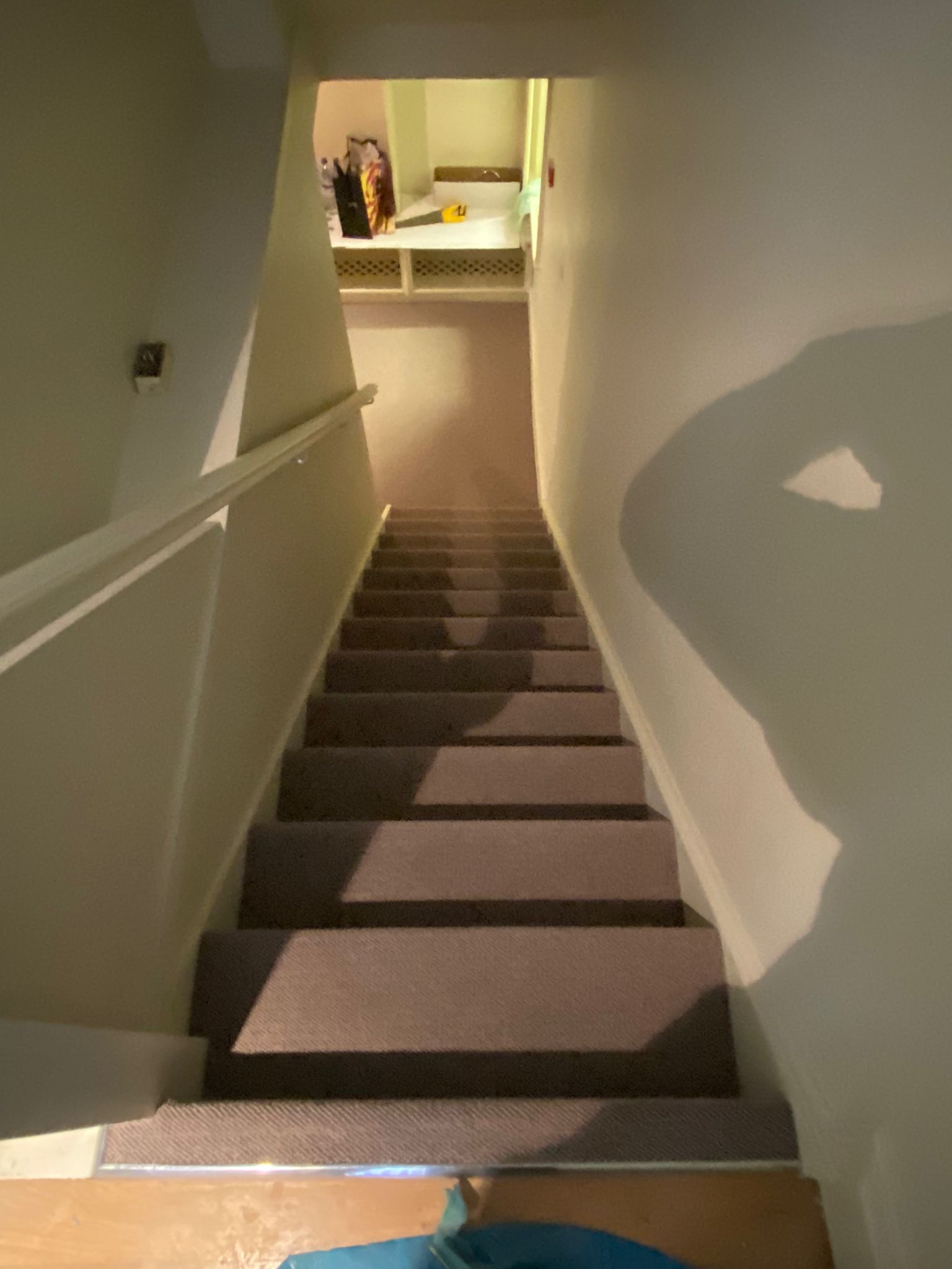 Westex Flooring Natural Loop Briar Rum & Raisin Installation in Mayfair - Carpet - Residential