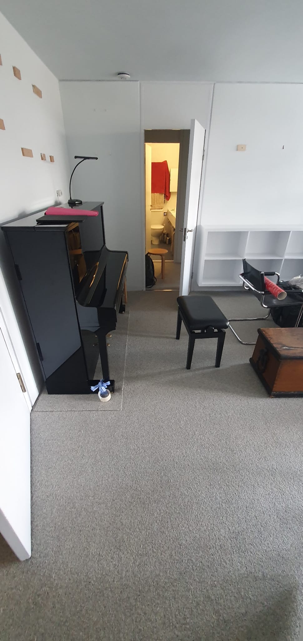 Brockway Carpets Rare Breeds Flax Installation in Chiswick - Carpet - Residential