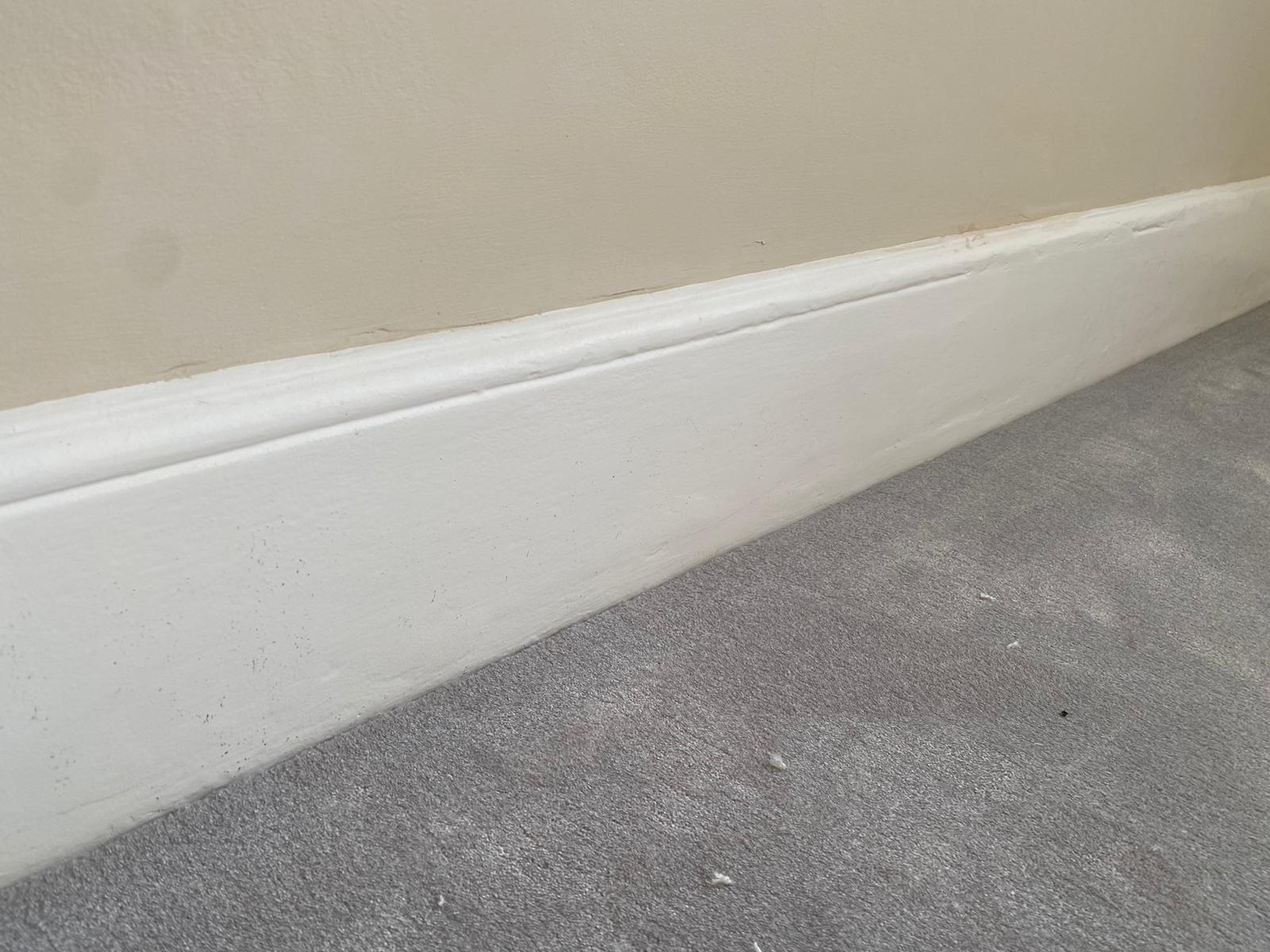 Exploring the Pros and Cons of Frieze Carpets - Guide - Carpet - Carpet