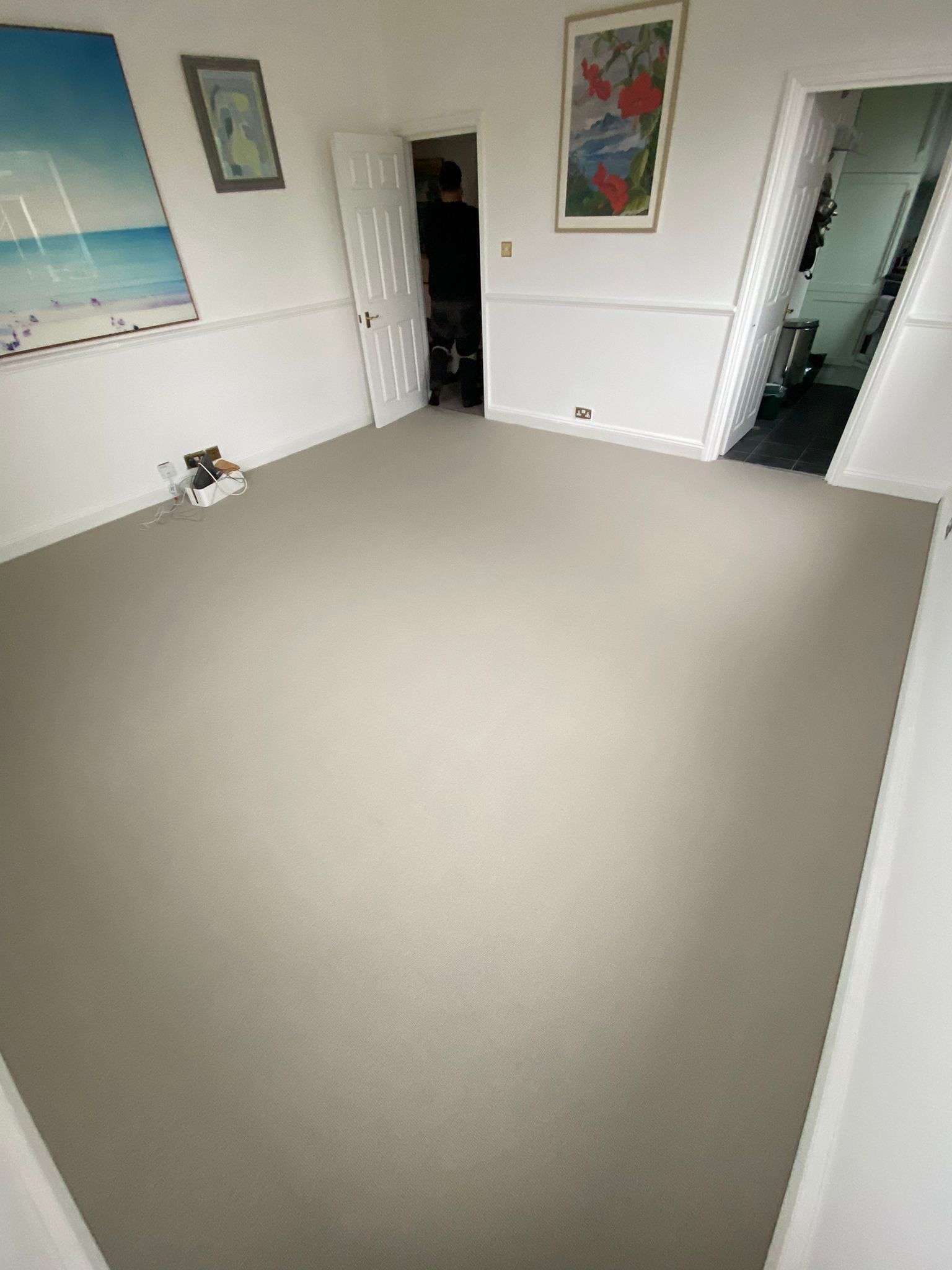 Clarendon Carpets Garden City Landscape Installation in Kensington - Carpet - Residential