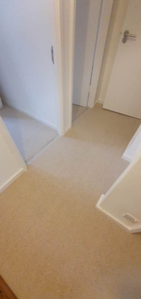 Fibre Carpets Wool Arcadian Heligan Installation in Camden, Carpet, Home