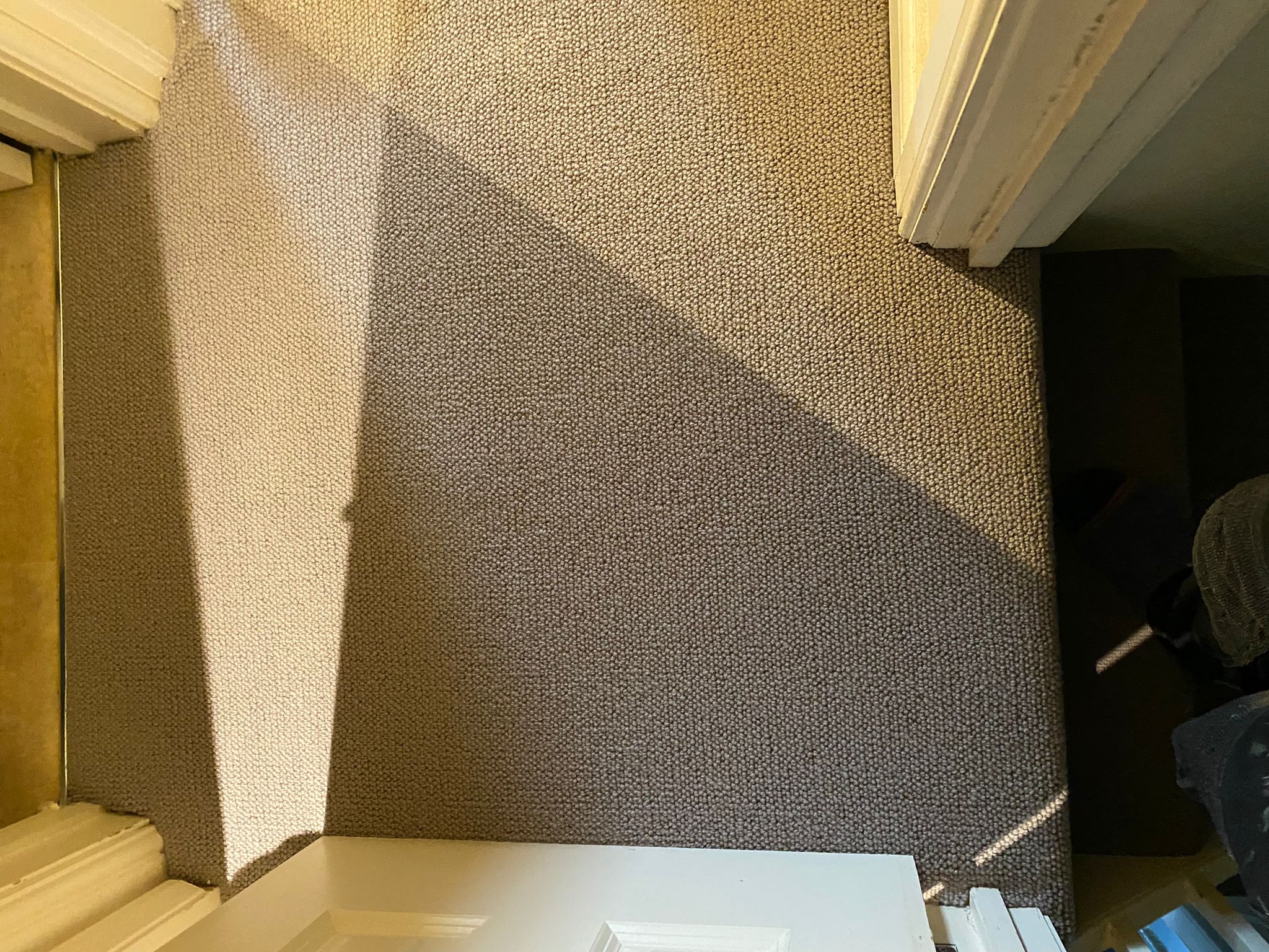 Hammer Carpets Memphis 115-06 Installation in Barnes - Carpet - Commercial