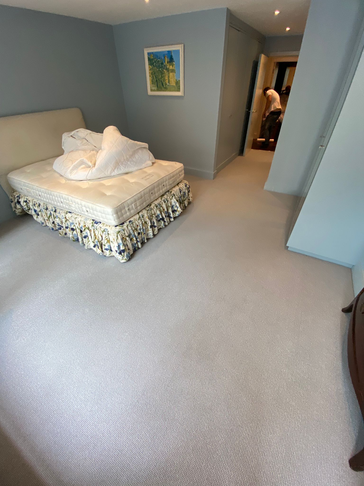 Best Wool Carpets Savannah Grizzle 138 Installation in Croydon - Carpet - Residential
