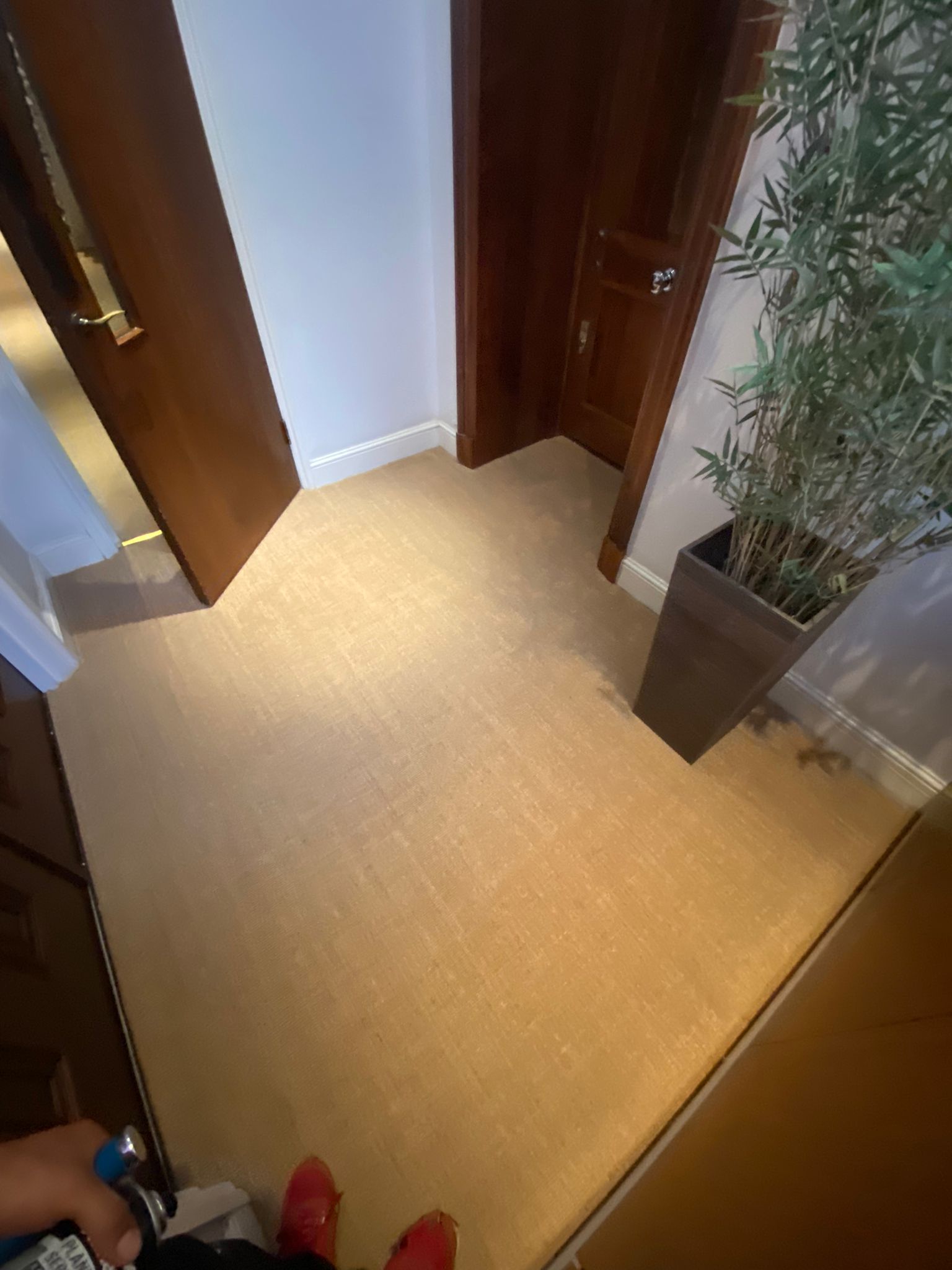 Fibre Carpets Sisal Boucle Anise installation in Clapham-1