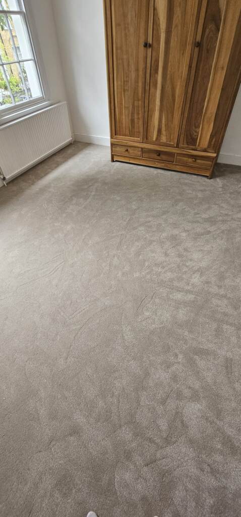 Abingdon Flooring Pure Elegance Moon Cloud 13954 Carpet Installation in Richmond, Home