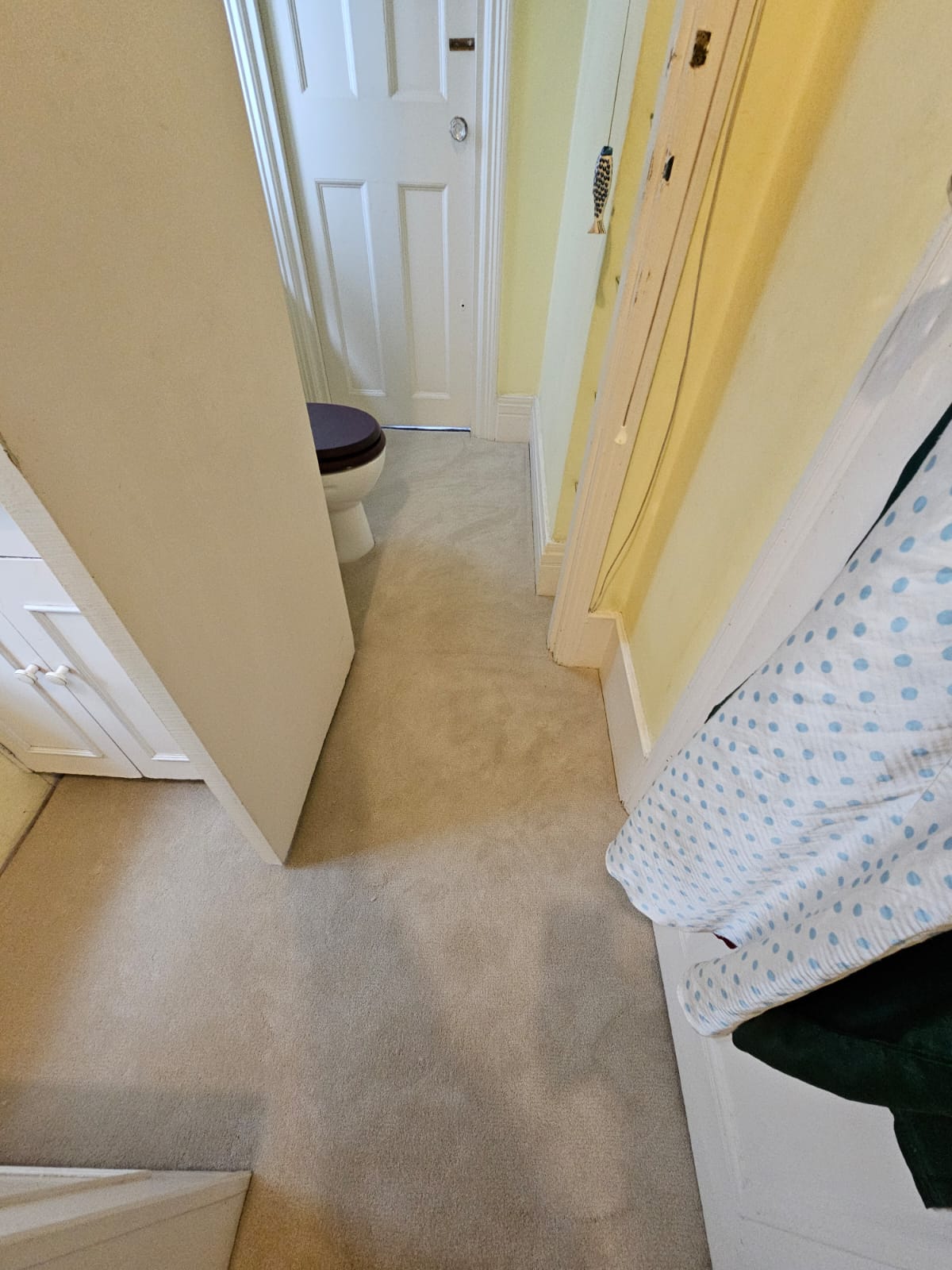 Causeway Carpets Fine Velvet Morning Mist installation in Chelsea-0